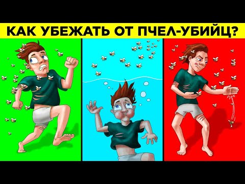 Видео: Загадки о Нападениях Животных, Которые Помогут Вам Выжить