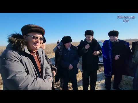 Видео: Тахтакопир Мулик..Байге 8 января 2025 г.