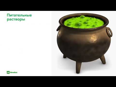 Видео: Минеральное питание растений. Часть 1.2