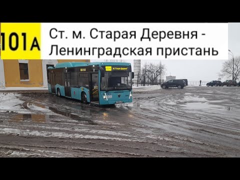 Видео: Автобус 101А. Ст. м. Старая Деревня - Ленинградская пристань