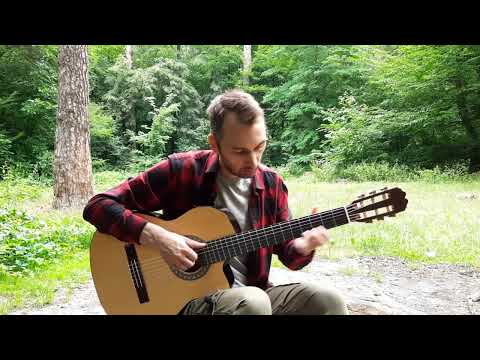 Видео: Чорнобривці (фінгерстайл аранжування на гітарі) Chornobryvtsi (Ukrainian guitar song)