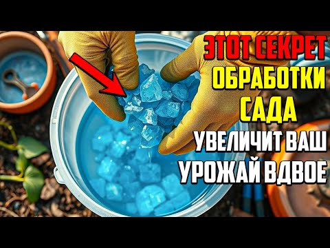 Видео: Вот Как Правильно Использовать Купорос, Чтобы Урожай Лез Из Ведер!