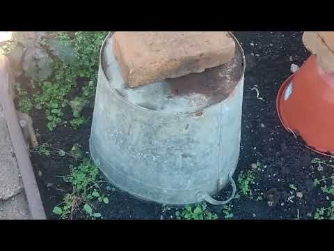 Видео: Осень. Приехали на дачу. Небольшой обзор. 