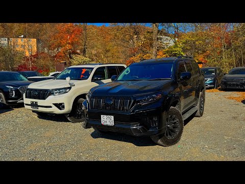 Видео: Последние Prado из Японии‼️😱 Black Edition‼️ Что будет с ценами?‼️😱