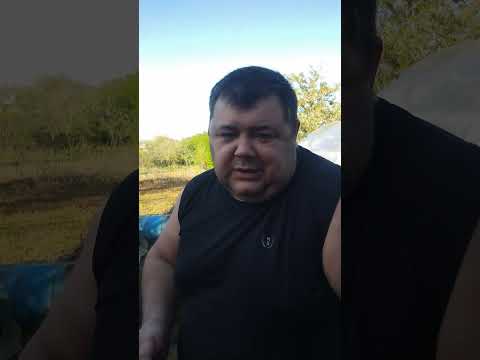 Видео: №24.Продолжаю колоть Семавик.новые побочки.