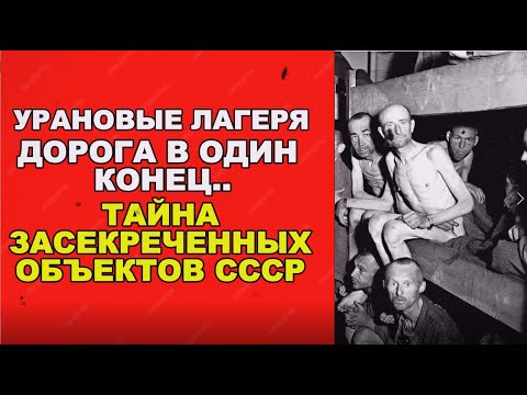 Видео: Тайна забайкальских черепов: ужасы урановых лагерей!