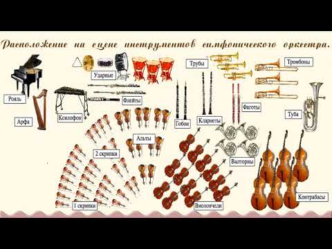 Видео: Симфонический оркестр