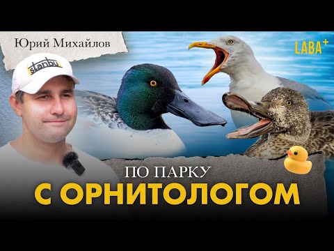 Видео: С орнитологом по парку. Юрий Михайлов