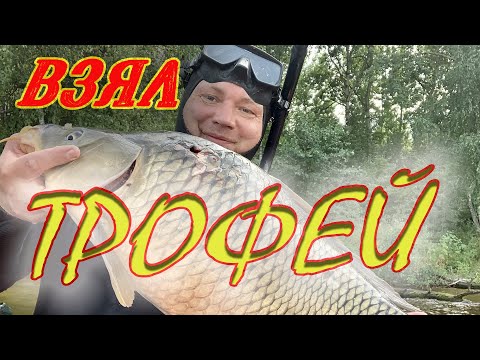 Видео: Долгожданный трофей