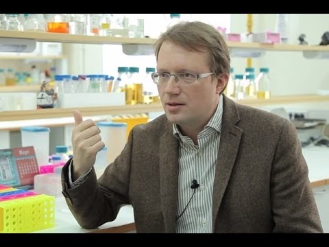 Видео: Альтернативные механизмы сверхпроводимости - Алексей Кавокин