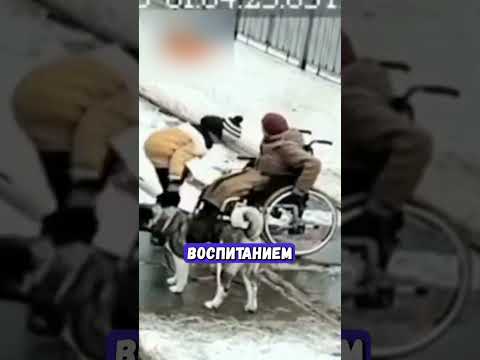 Видео: Находчивый паренек спас женщину в инвалидном кресле! | Новости!