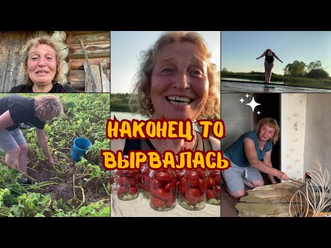 Видео: Что делать с урожаем кабачков в деревне?