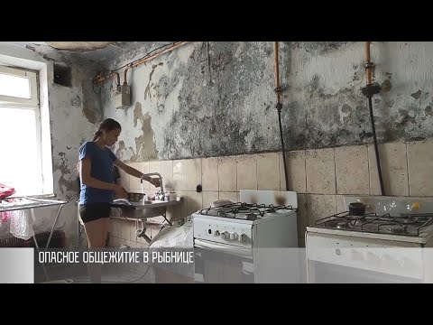 Видео: Общежитие с чёрной плесенью в Рыбнице