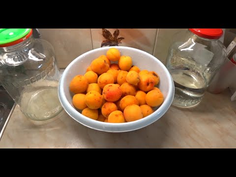 Видео: Ароматный "Абрикосовый самогон" Абрикосовый мацерат.