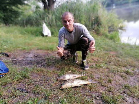 Видео: Карповая рыбалка! Ловля карпа на горох с попапом!