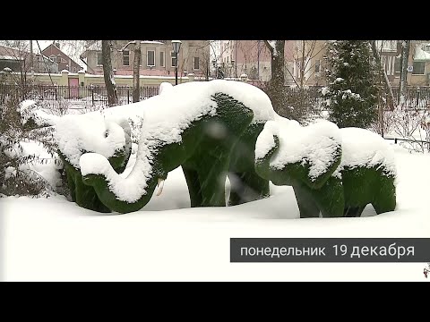 Видео: Рыбинск. События недели. 17.12.22 - 23.12.22