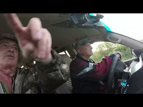 Видео: Казахстан. Жезказган. Сатпаев. Мокрая вода открылась! 17.05.25