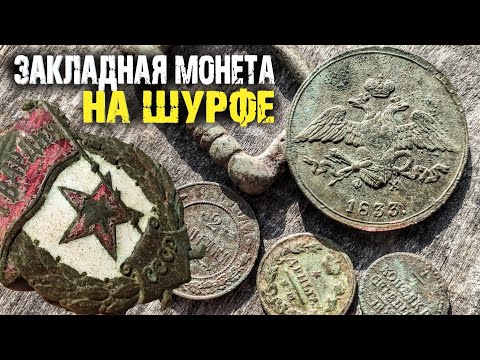 Видео: Ядовитая змея на шурфе! Закладной пятак. Коп с металлоискателем.