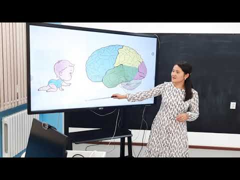 Видео: Баланың жазуы неге нашарлайды? #жазу #көркемжазу #жазудытүзету