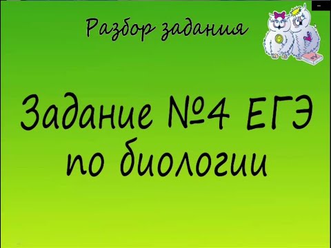 Видео: Биология. Разбор 4 заданий ЕГЭ по биологии на генетику