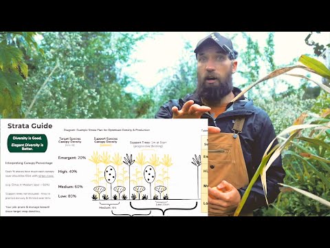 Видео: Как деревья-опоры создают или разрушают ваш продовольственный лес