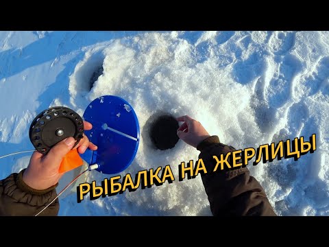 Видео: Ловим щуку на жерлицы | Зимняя рыбалка 2024