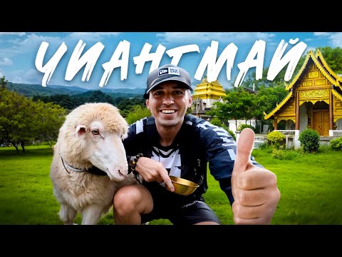 Видео: ЧИАНГМАЙ! ТОП! ТАКОГО НЕ ОЖИДАЛ! СЕВЕР ТАЙЛАНДА!