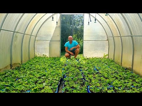 Видео: Лето заканчивается - подтягиваем хвосты