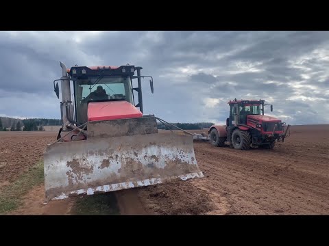 Видео: КИРОВЕЦ К-525 служит верой и правдой. Посевная кампания 2023.