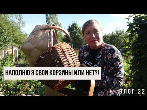 Видео: Смогу ли я наполнить корзины урожаем? Или всё как всегда?