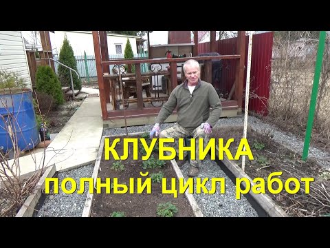 Видео: 54. КЛУБНИКА. Часть 1 - почва, весенняя обрезка, удобрение, обработка от вредителей.