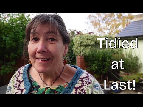 Видео: В которой двор наконец-то будет приведен в порядок!