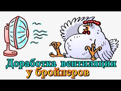 Видео: Вентиляция в птичнике, доработка