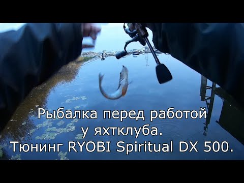 Видео: Рыбалка перед работой у яхтклуба.Тюнинг RYOBI Spiritual DX 500.