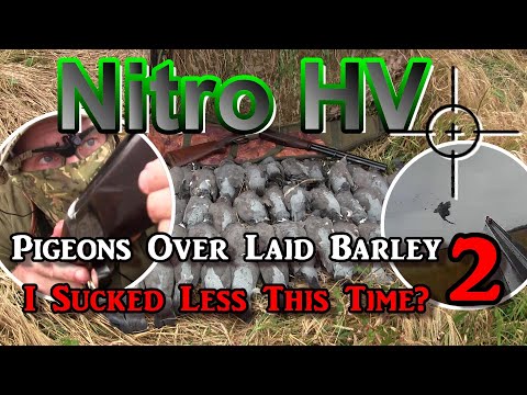 Видео: Nitro HV Pigeons Over Laid Barley 2 В этот раз я высосал меньше