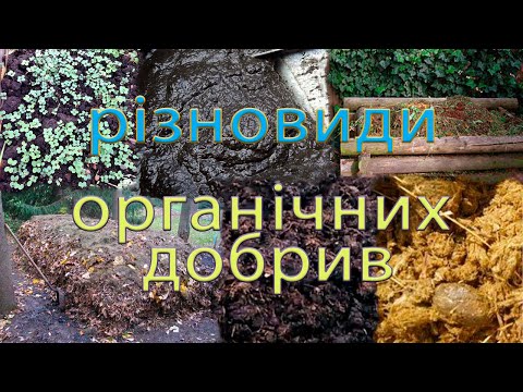 Видео: різновиди органічних добрив