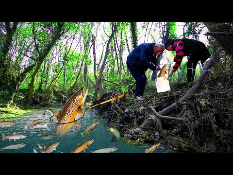 Видео: Бабушка и дедушка ловят рыбу в реке в лесу | Сельская жизнь | Навыки выживания