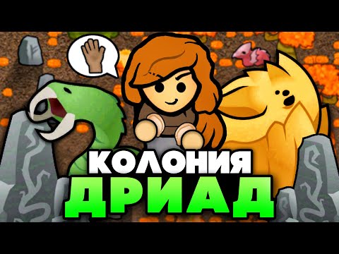 Видео: КОЛОНИЯ ДРИАД-ПАЦИФИСТОВ в RimWorld