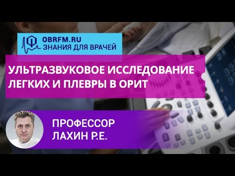 Видео: Профессор Лахин Р.Е.: Ультразвуковое исследование легких и плевры в ОРИТ