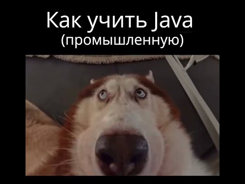 Видео: Совет как учить Java новичку. Часть 1 она мб и последняя.