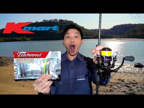 Видео: Рыболовный челлендж Kmart за 10 долларов! (Бюджетные приманки!)