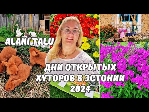 Видео: Дни открытых хуторов в Эстонии 2024.Хутор на котором разводят кроликов,птицу.Цены.Деревня в Эстонии