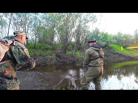 Видео: ТАСКАЕМ ЩУК ИЗ РУЧЬЯ НА СПИННИНГ / РЫБАЛКА НА КРАЙНЕМ СЕВЕРЕ / ХИЩНИК СКОПИЛСЯ В УЗКОЙ ПРОТОКЕ.