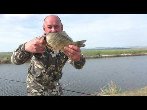 Видео: Ждал сазана, а приехал рыбнадзор! Два карася за 2 тыс. рублей!Фидер, Лещ, Карась!