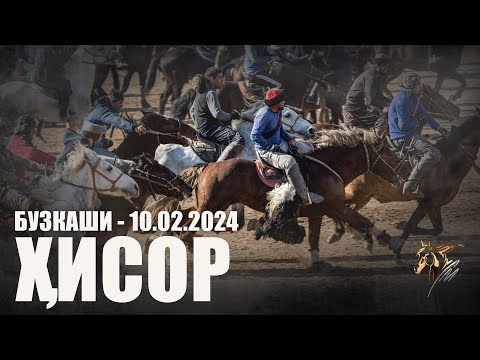 Видео: Бузкаши 10.02.2024 ш.Хисор