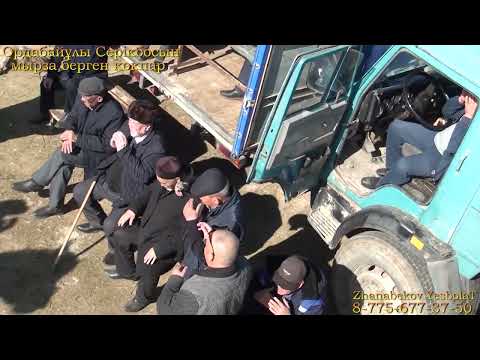 Видео: Ордабайулы Серикбосын мырза берген кокпар Ордабасы ауданы Теспе ауылы 2022жыл