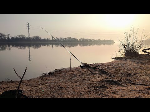 Видео: ПОПАЛИ НА ЖОР !!!  Рибалка з татом на р. Дніпро весна 2023