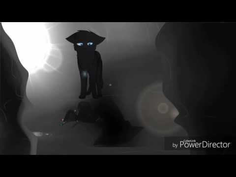 Видео: Ласточка и Грач - Ты теперь мой садист