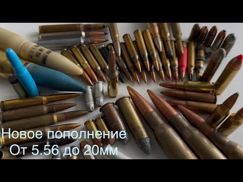 Видео: Новые патроны в коллекции. От 5.56 до 20мм