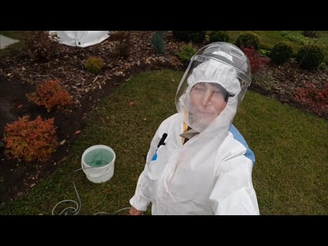 Видео: 💁 Две мощные искореняющие обработки сада осенью...